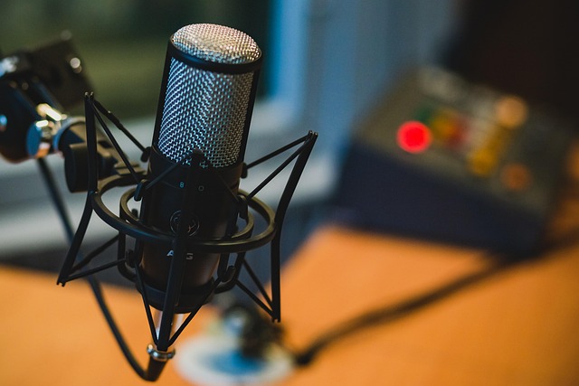 Pixabay | ID: 2618102 | Tags: mikrofon, audio, aufzeichnung, podcast, musik, podcast, podcast, podcast, podcast, podcast | User: StockSnap Pixabay | ID: 2618102 | Tags: mikrofon, audio, aufzeichnung, podcast, musik, podcast, podcast, podcast, podcast, podcast | User: StockSnap | URL: https://pixabay.com/de/photos/mikrofon-audio-aufzeichnung-podcast-2618102/